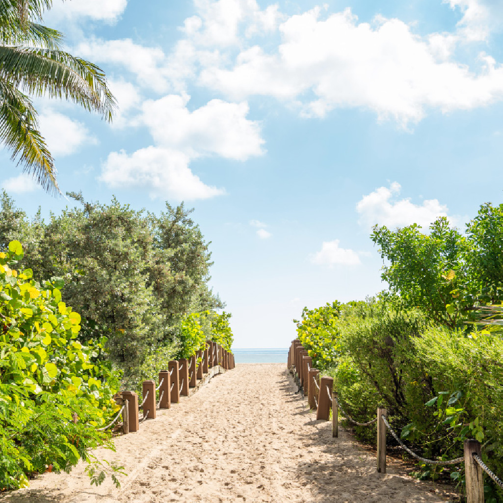 sandy pathway towards ocean in Miami Beach